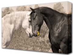 Картина на холсте Вечная любовь! 60*100см 3674934