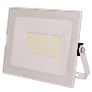Прожектор светодиодный ЭРА 6803 LPR-031-0-65K-020 Eco Б0043570