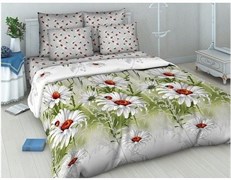 Комплект постельного белья ВАСИЛИСА '20 1,5 214*150 бязь наб 70*70 100% хлопок 3753/1