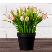 Бонсай в горшке Тюльпаны 9*19 см, микс 4560015