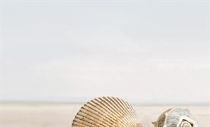 Декор ХАРЬКОВСКАЯ 250*400 Summer stone Holiday №1 бежевый В41311 1с