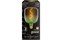 Лампа Gauss LED Filament V140 5W 200Lm E27 1800К green-clear flexible 1009802105 - фото 101312
