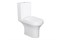 Унитаз-компакт DAMIXA Skyline безободковый с сиденьем микролифт DX35C8600SC - фото 102224