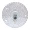 Модуль EcoLight круглый 36W 280 с магнитом 4000K - фото 107212