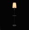 Торшер EcoLight 1908 A-BK - фото 107256