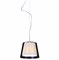 Светильник ASYA-AVIZE MD1017-1 E14 40W 150-17120 - фото 117168