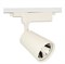 Светильник TEKLED LED LS-002-70 (9018L) 10W 6000K белый 174-036210 - фото 117287