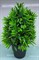 Искусственное растение ULTRAMARINE Green garden 33см в горшке МТ-16 951-462 - фото 123505