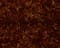 Ковер NIKOTEX Mat Jade Шоколадный 160*240 - фото 17160