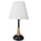 Лампа настольная EcoLight 1085F+138K (Бел.) - фото 17237