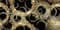 Декор ALMA CERAMICA Golden 249*500*7.5 DWU09GLD228 - фото 21099