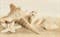 Декор UNITILE Amalfi sand dekor 01 250*400 - фото 23139