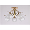 Люстра ASYA AVIZE 50420/5 5хE27 60W GOLD 158-17312 - фото 44998