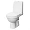 Унитаз-компакт DAMIXA RedBlu Origin Evo 2 с сиденьем микролифт 788607SC - фото 45580