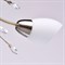 Люстра MW-LIGHT Нежность 8*60W E14 220V 356015308 - фото 60161