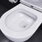 Унитаз AM.PM подвесной Sirius безободковый с сиденьем микролифт DX86C1700SC - фото 63256