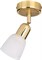 Спот ESCADA 5039/1PA E14*40W Gold/White - фото 65446