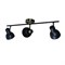 Светильник TEKLED SD21437/3 50W GU10x3 черный 172-03130 - фото 69830