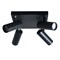 Светильник TEKLED SD21443/4 50W GU10x4 черный 172-03094 - фото 69834