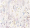 Обои EURO DECOR Mone фон 7126-18 виниловые 1,06*10,05м (1упак-6рул) - фото 70696