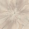 Обои EURO DECOR Glossy декор 7171-01 виниловые 1,06*10,05м (1упак-6рул) - фото 71698