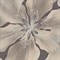 Обои EURO DECOR Glossy декор 7171-12 виниловые 1,06*10,05м (1упак-6рул) - фото 71759