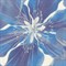 Обои EURO DECOR Glossy декор 7171-20 виниловые 1,06*10,05м (1упак-6рул) - фото 75190