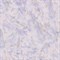 Обои EURO DECOR Hortensia фон 8043-18 виниловые 1,06*10,05м (1упак-6рул) - фото 77104