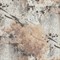 Обои EURO DECOR Paint декор 9164-14 виниловые 1,06*10,05м (1упак-6рул) - фото 91817