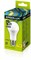 Лампа светодиодная ERGOLUX LED-A60-12W-E27-3K ЛОН 12150 - фото 92667