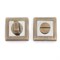 Фиксатор APECS Windrose WC-1803-MB - фото 93129