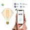 Лампа Gauss LED Smart Home Filament Diamond 6,5W 720Lm E27 2000-5500К изм.цвет.темпр.+дим. 1370112 - фото 95430