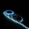 Лента GAUSS LED Elementary светодиодная 2835/60-SMD 4.8W 12V 5м DC холодный белый IP20 355000305 - фото 95484