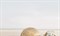 Декор ХАРЬКОВСКАЯ 250*400 Summer stone Holiday №1 бежевый В41311 1с - фото 98798